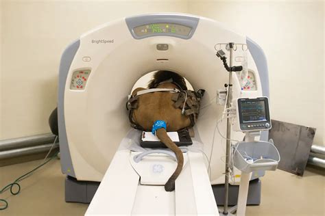 leesburg cat scan procedure|CT Scan .